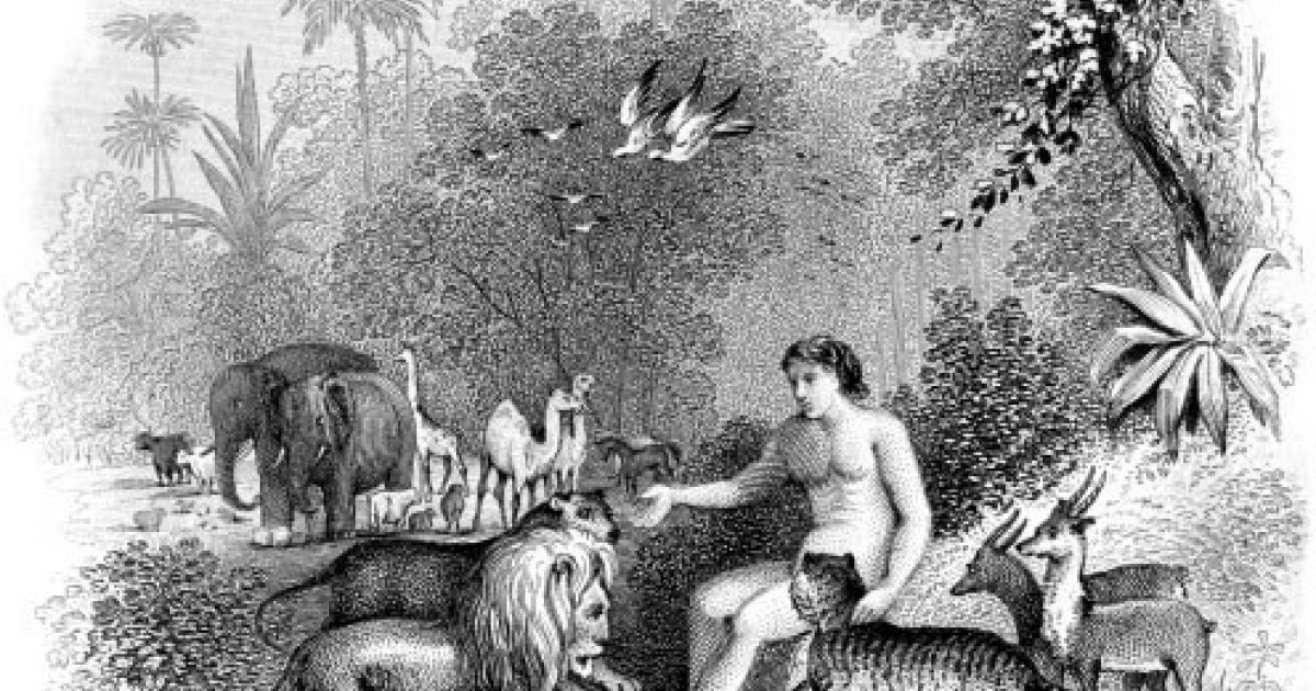 A biblical and scientific Adam | WORLD