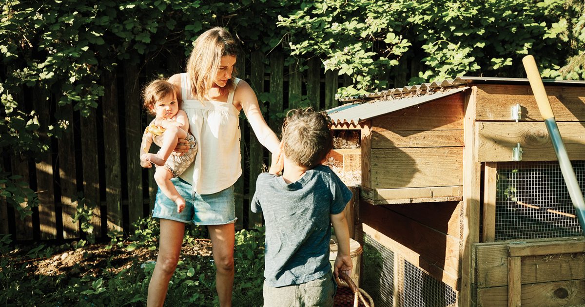 Are backyard chickens still booming?