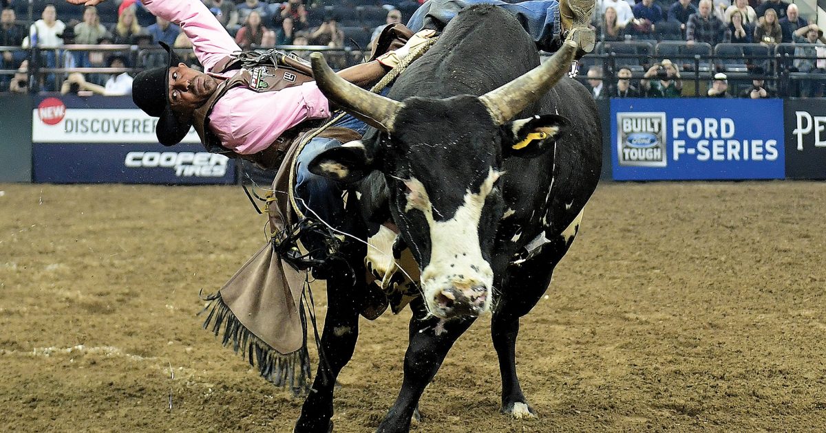 In the arena