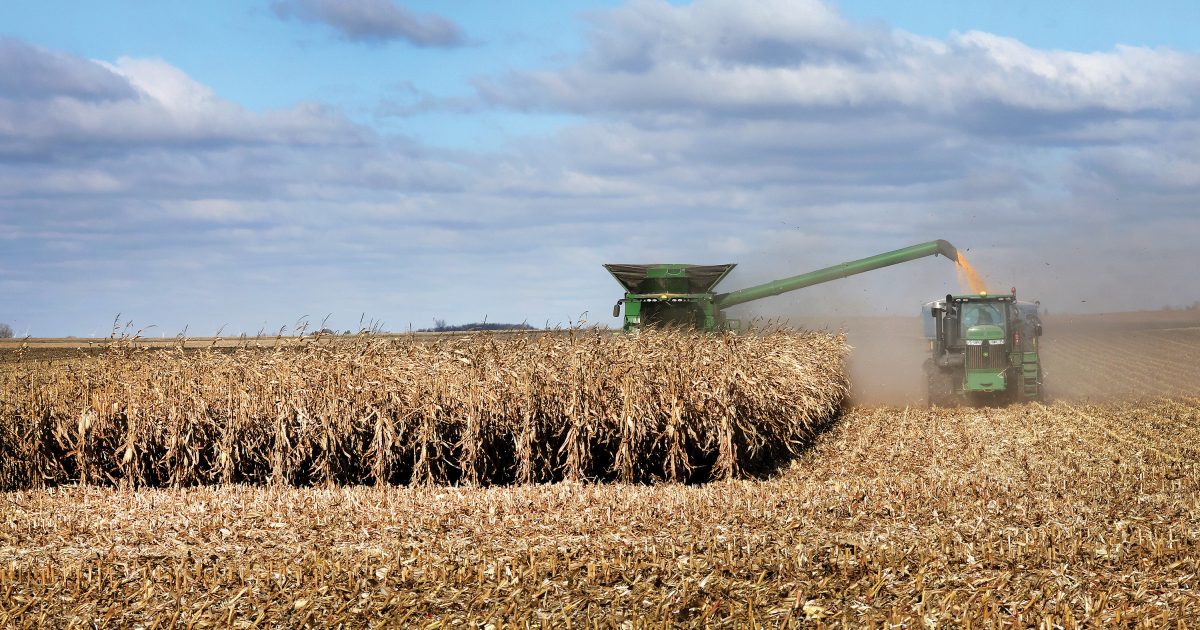 Industrial farming: Hero or villain?