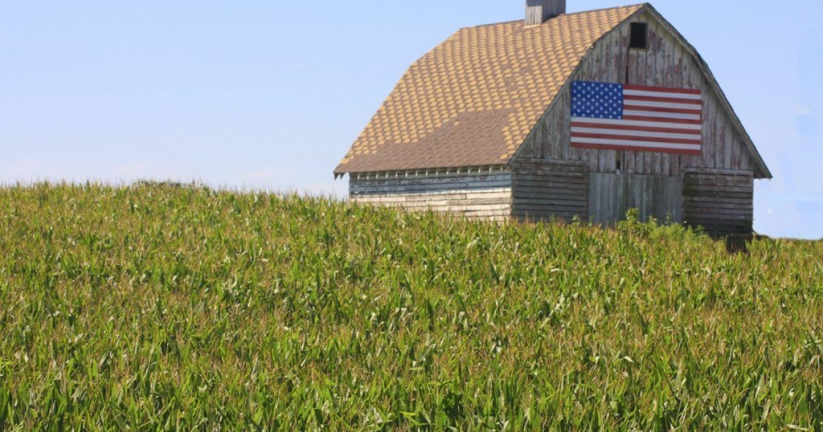 America Rundown Rural Estate A deadly crisis in rural America | WORLD