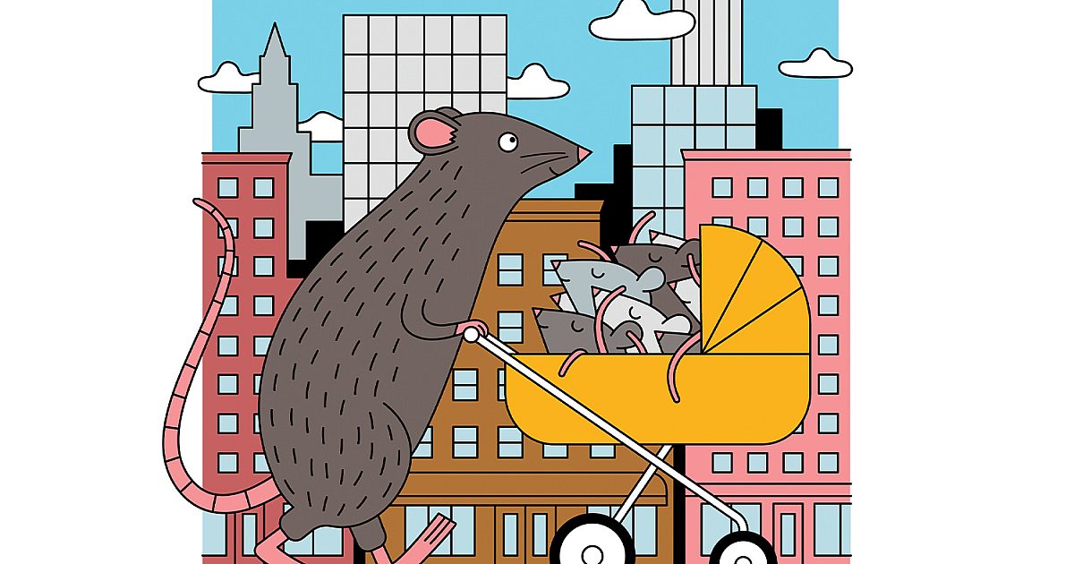 Quick Takes Rodent restrictions WORLD