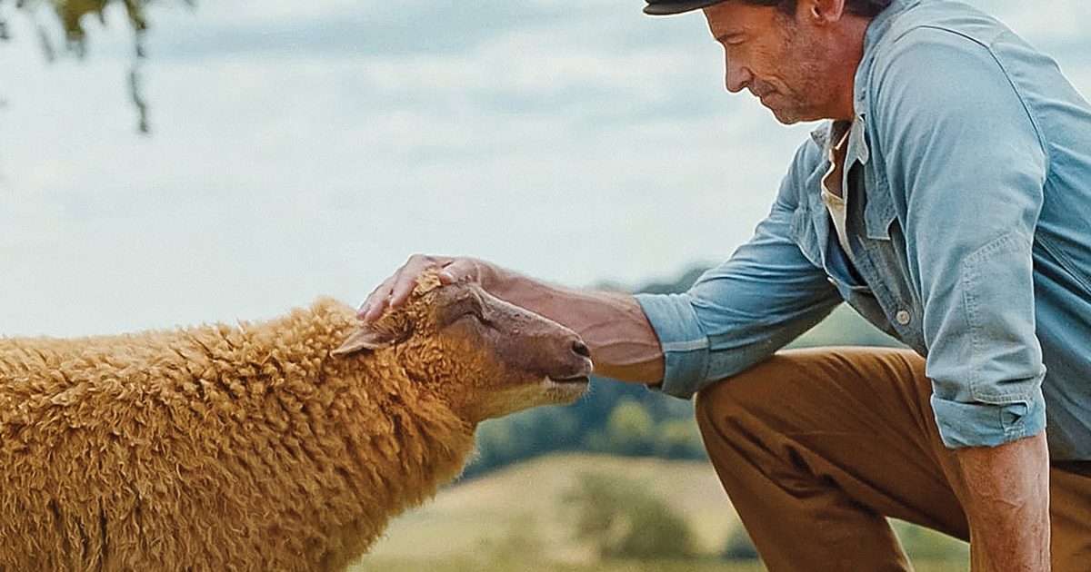 The Sheep Detectives MOVIE | A whimsical, entertaining family movie that sometimes strays into anti-religious pastures