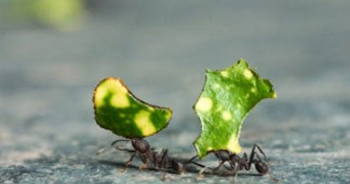 Less Bad Better than being 'less bad' | WORLD