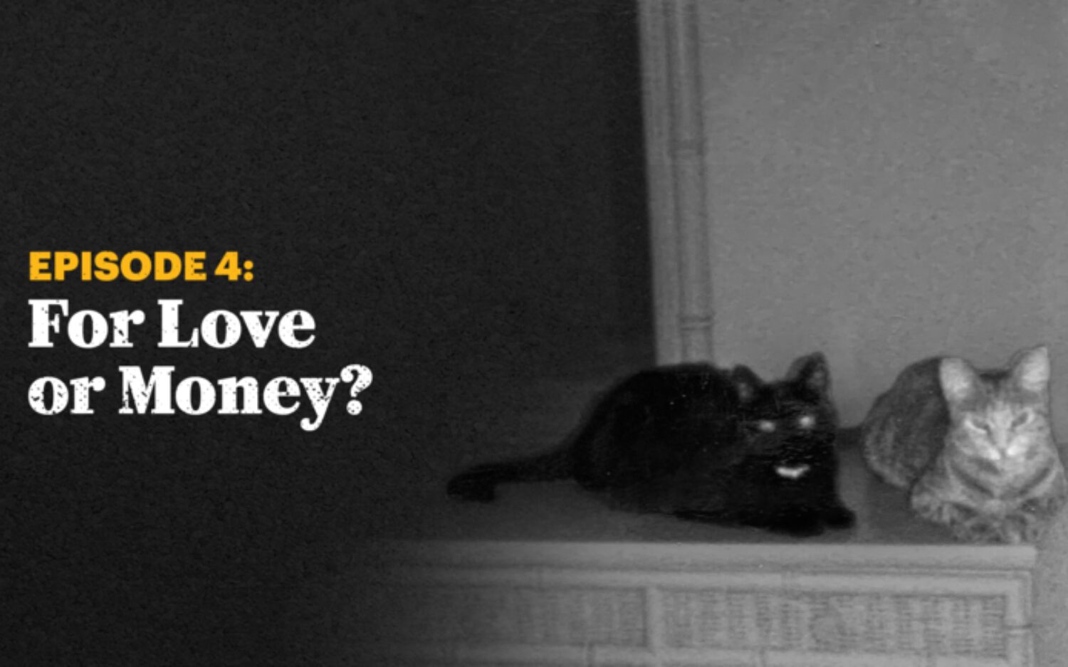 Lawless Encore: Episode 4, For Love or Money?