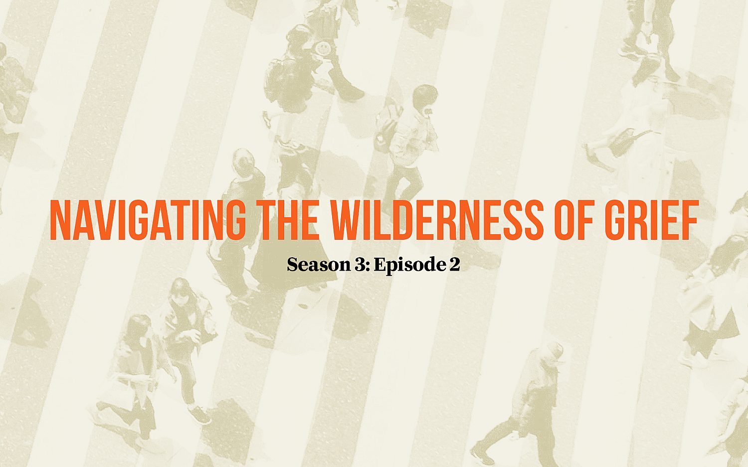 Navigating the Wilderness of Grief