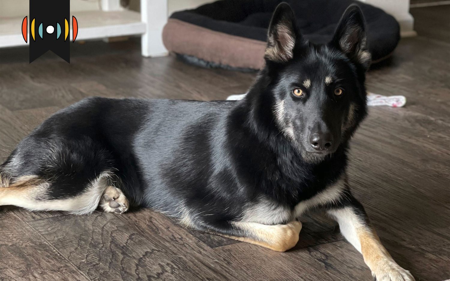 Kicker: Bringing Christmas joy