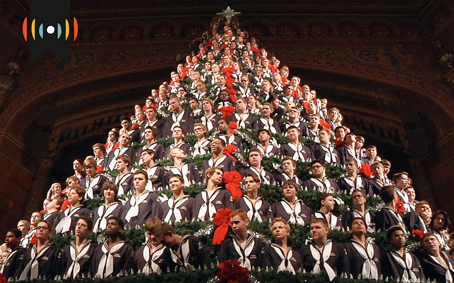 Kicker: Christmas tree hits a high note