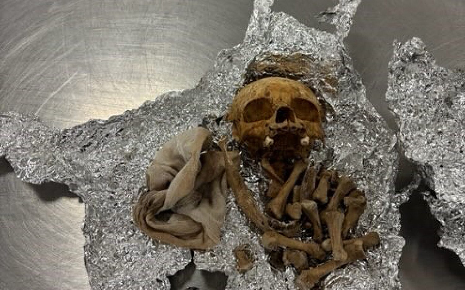 Airport officials confiscate apparent human bones during Tampa bag check
