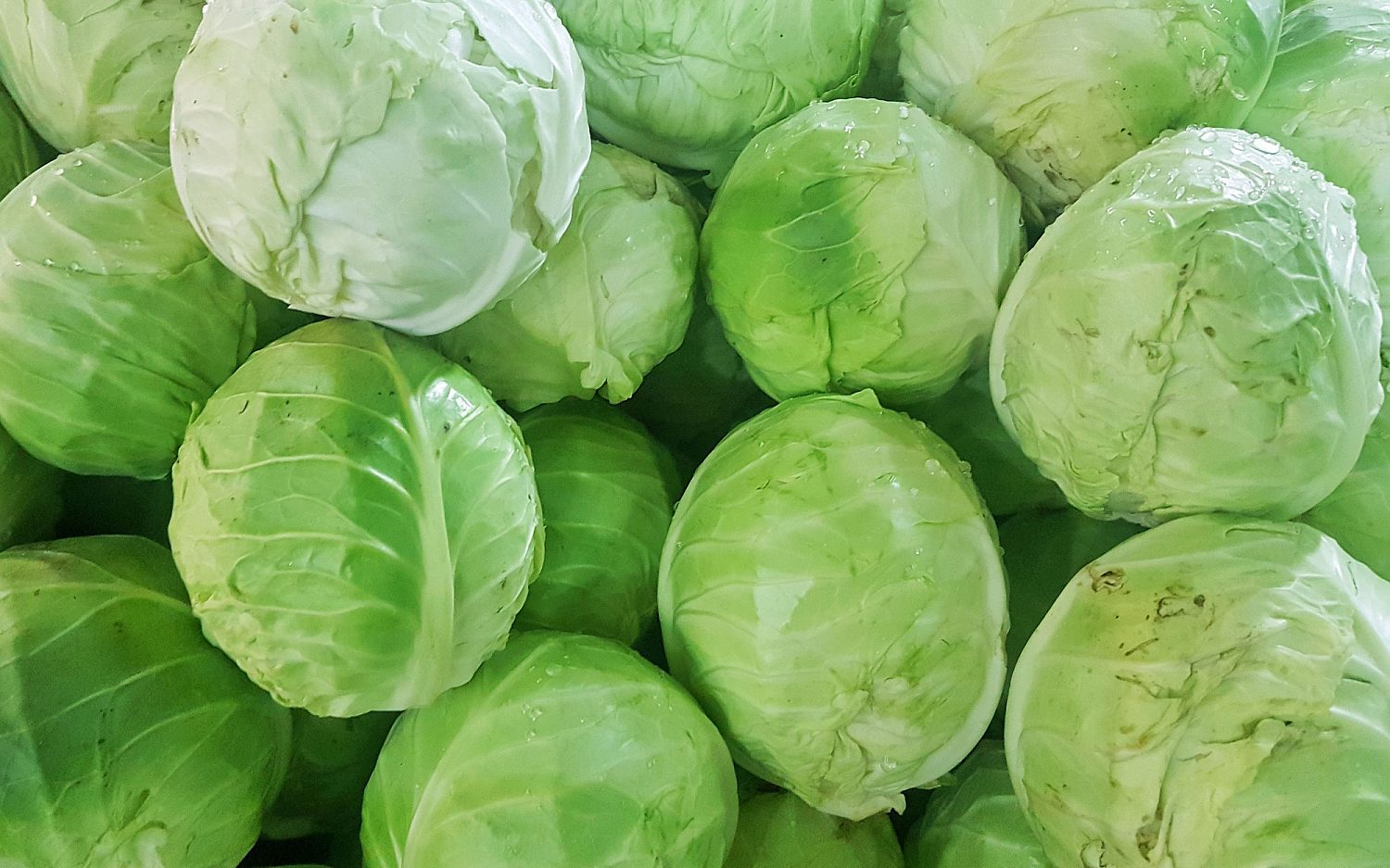 Traffickers hide 2K pounds of meth in cabbage