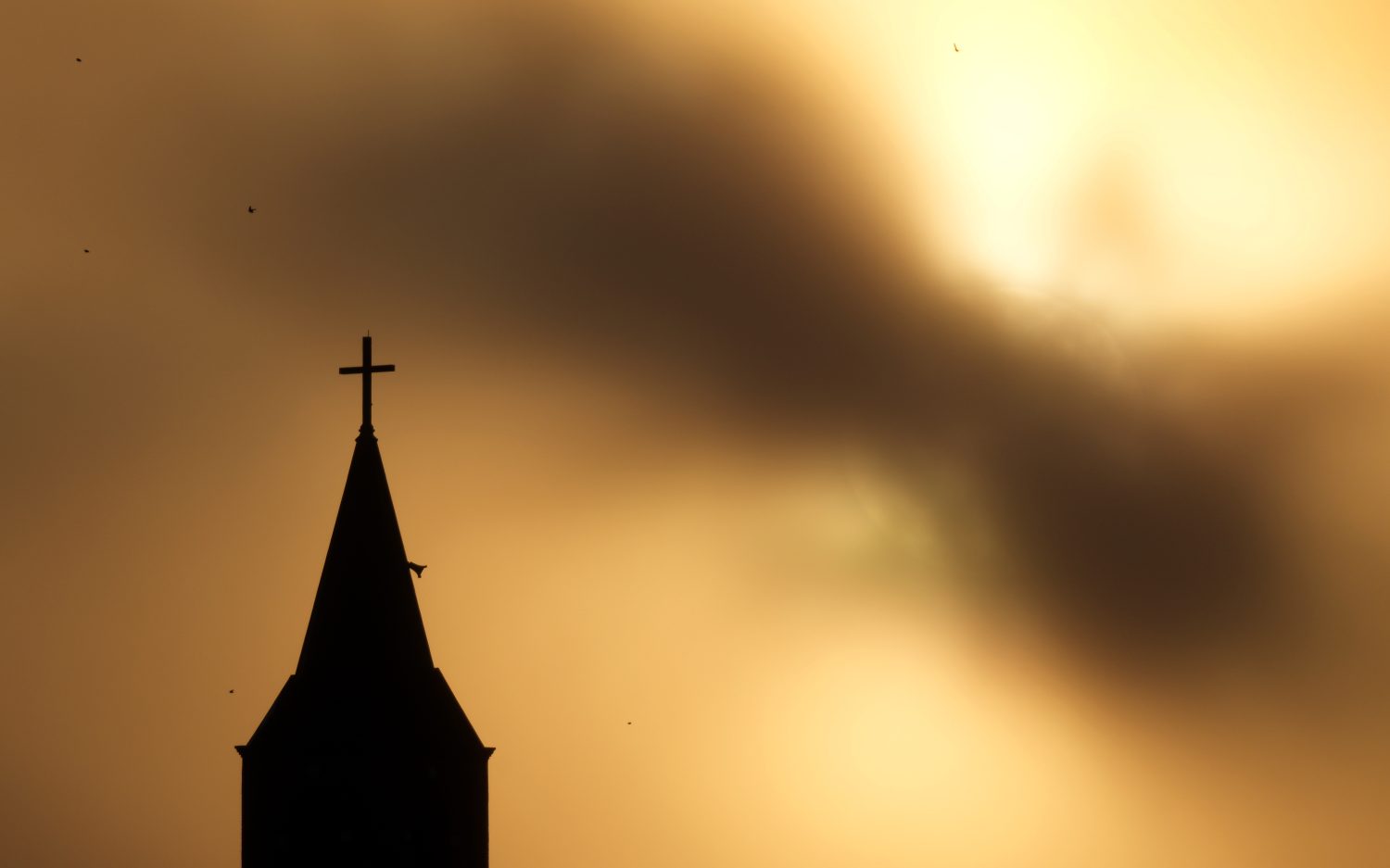 Former priest pleads guilty to theft, repays $160,000 to parish