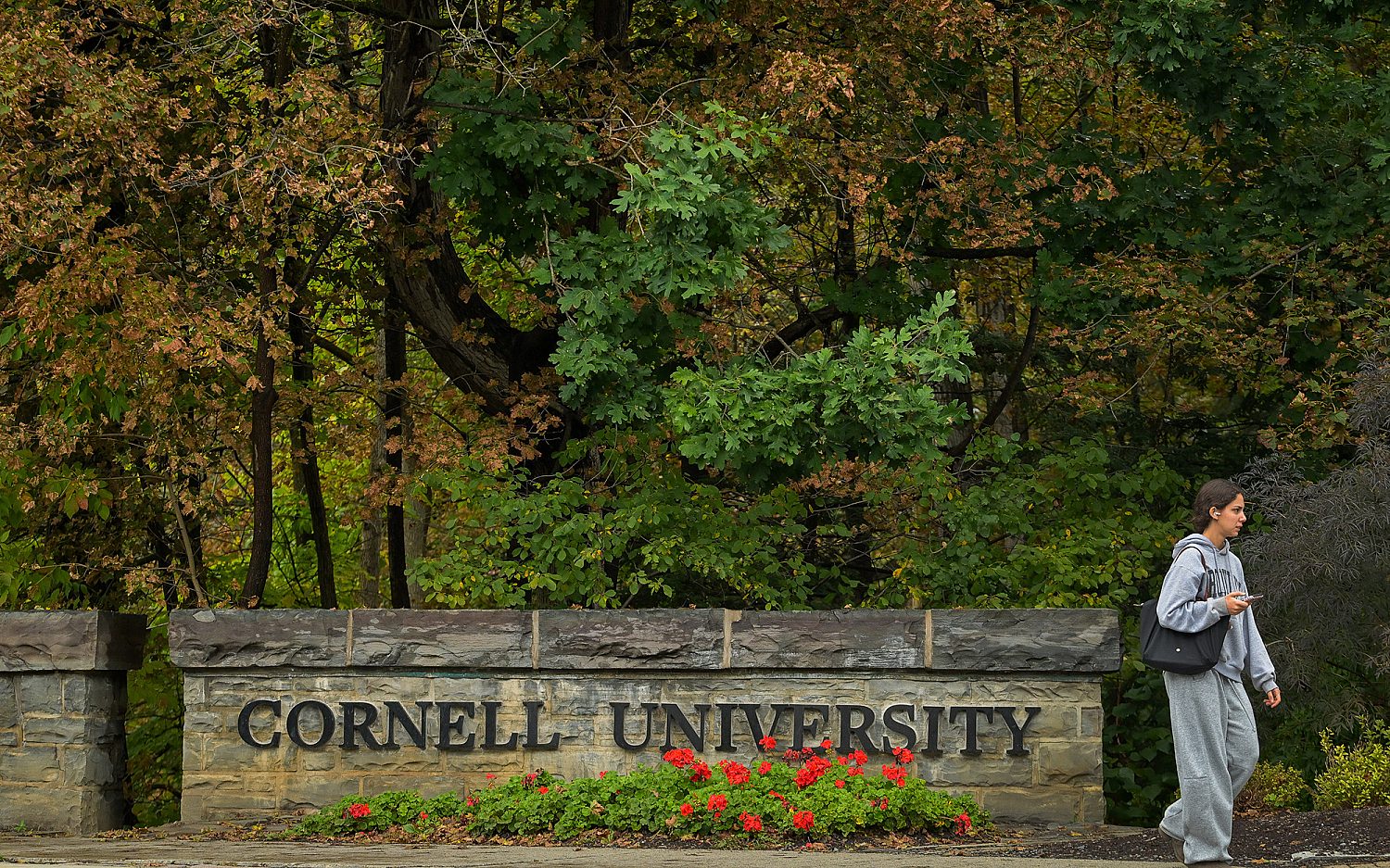 New York governor backs reopening investigation of Cornell sex assault claims