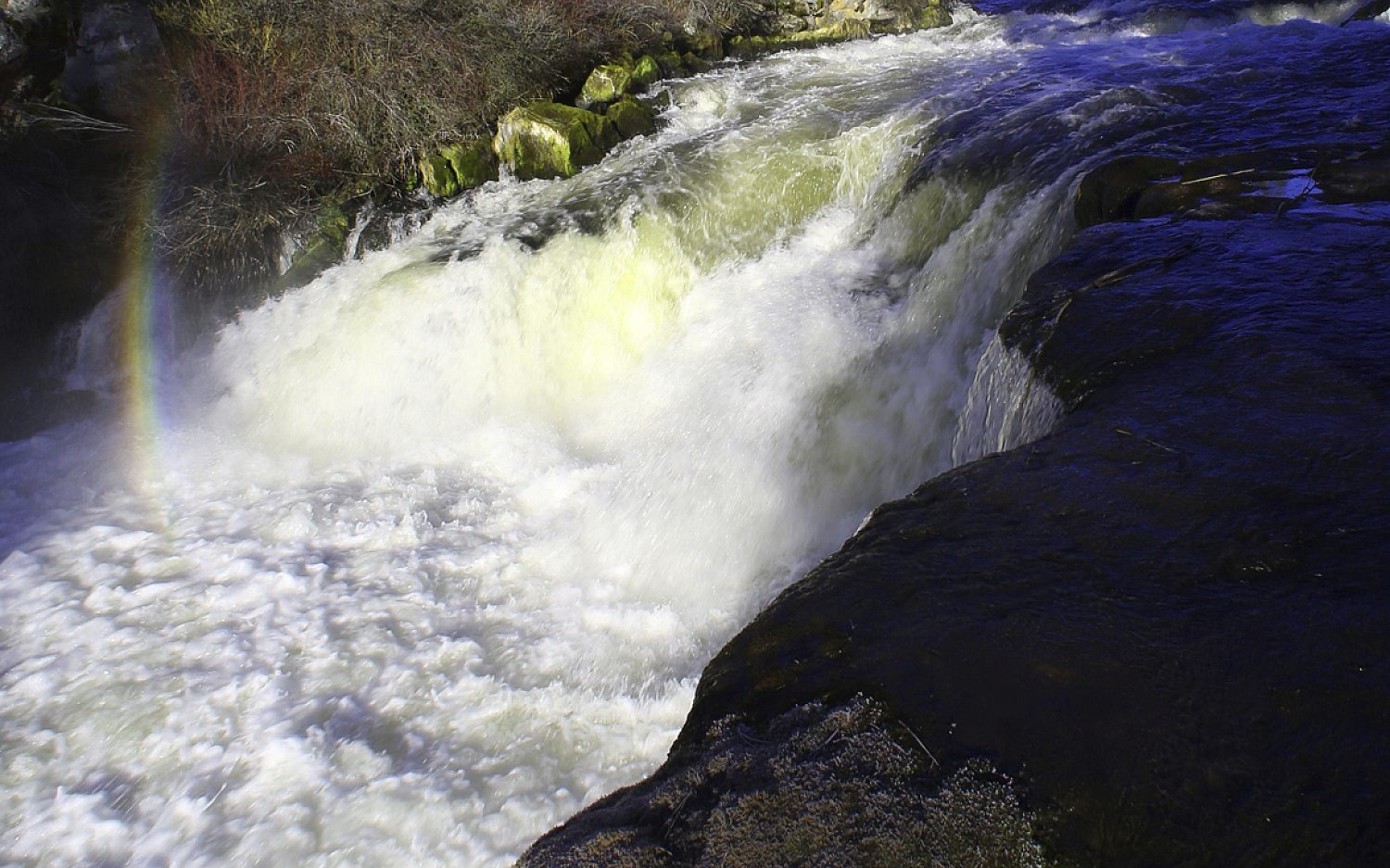 Two missing, one dead after group swept over Oregon waterfall