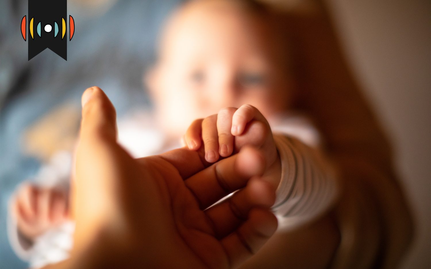 Janie B. Cheaney: The “childless” vs. “child-free” divide