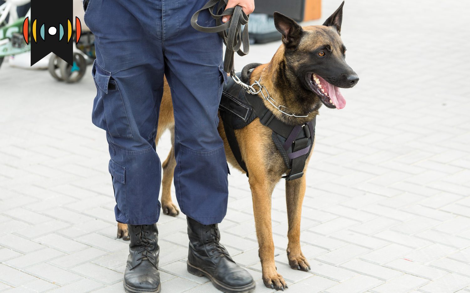 Kicker: A heartwarming reunion