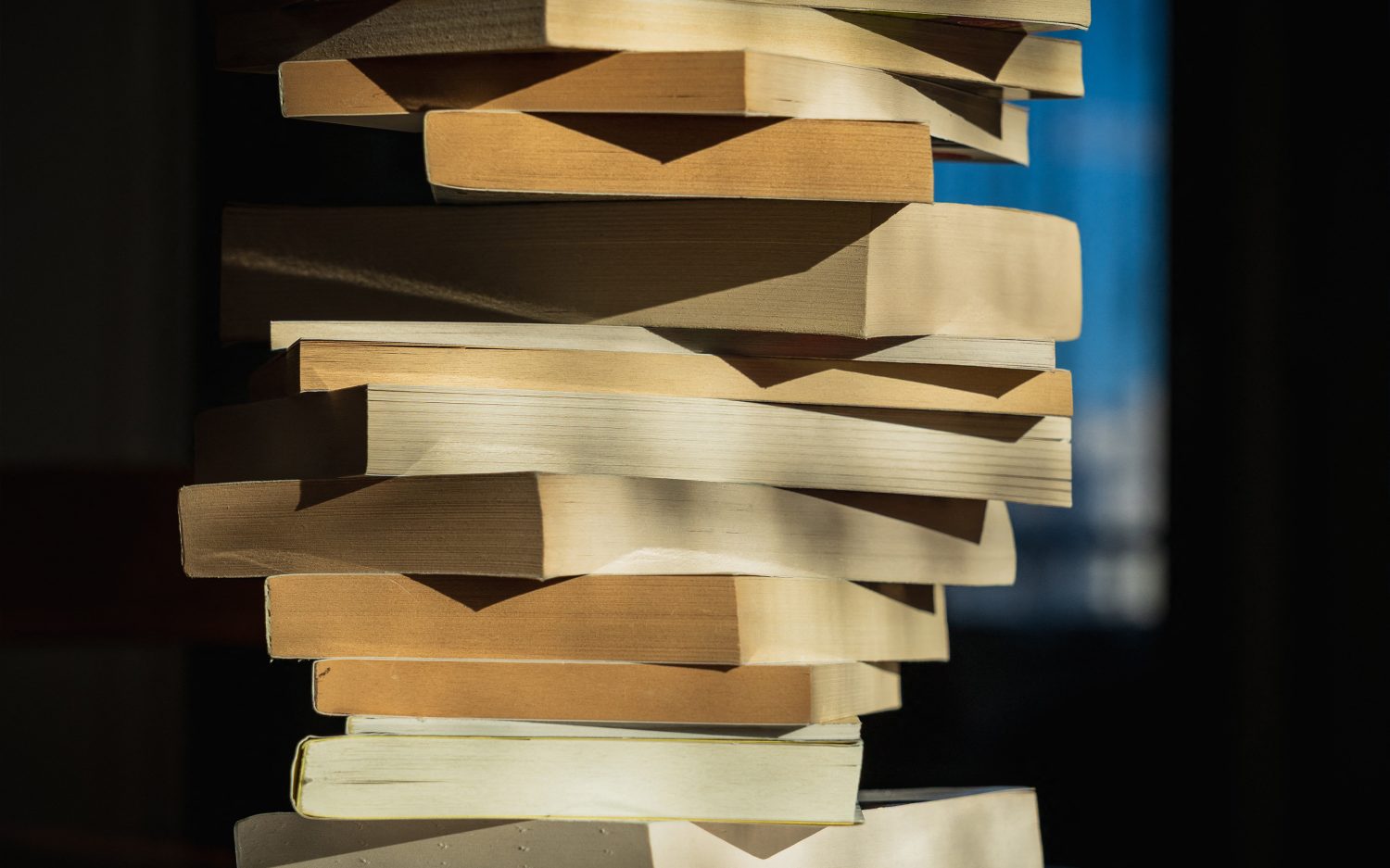How to stay in the AI game: Scan millions of books. Then shred them.