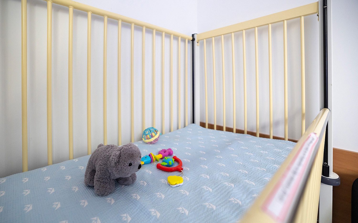 Netherlands insists disabled toddler’s euthanization handled appropriately