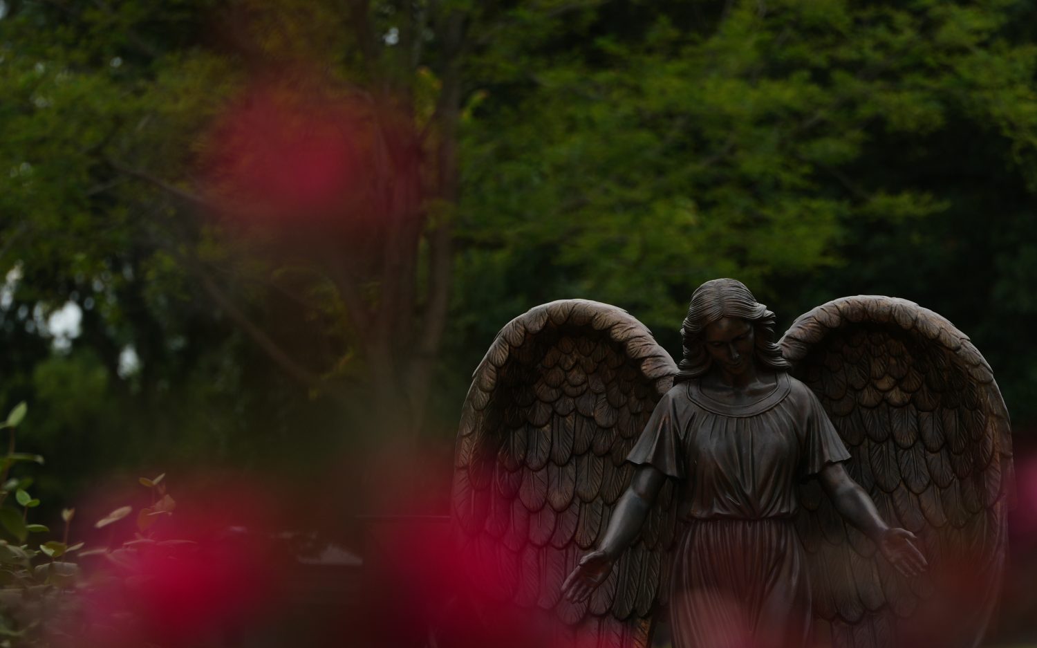 More Catholics shielded from Illinois euthanasia law, for now