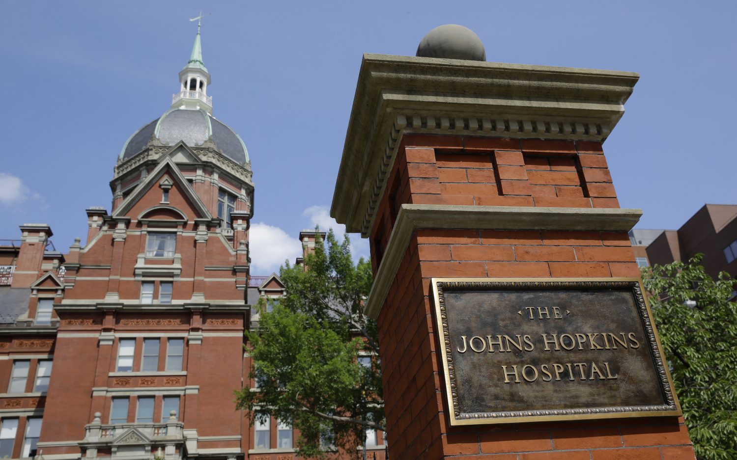 Johns Hopkins referred for probe on minors’ trans procedures WORLD