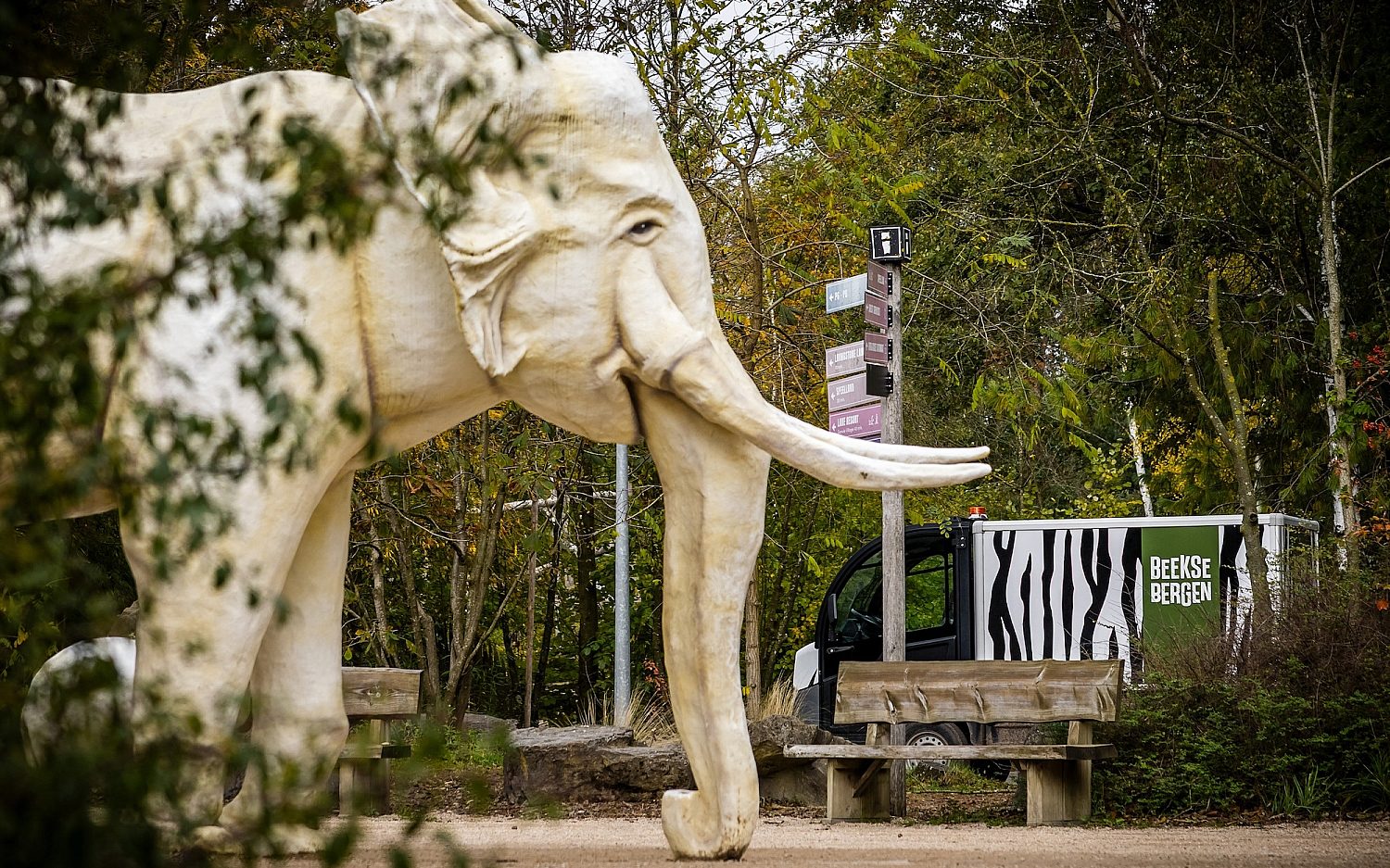 Dutch zookeeper dies after leopard attack