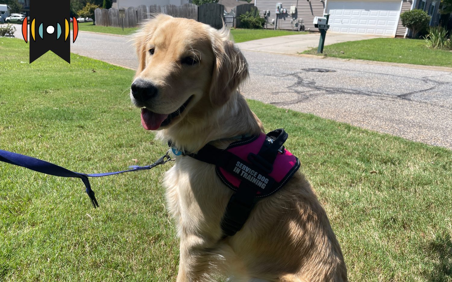 Training a new lifeline