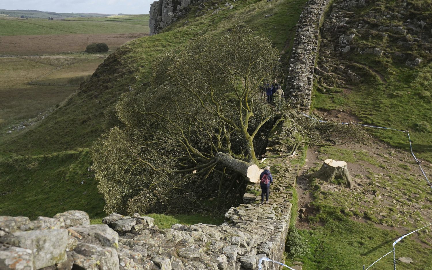 Sycamore Gap tree-cutters get four-year prison terms