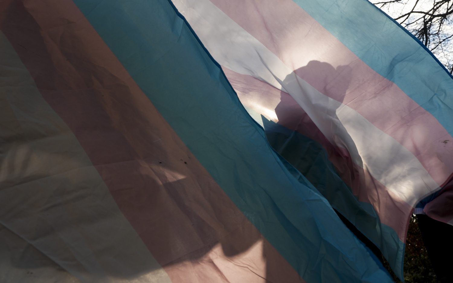 Fewer young people identifying as transgender, report says