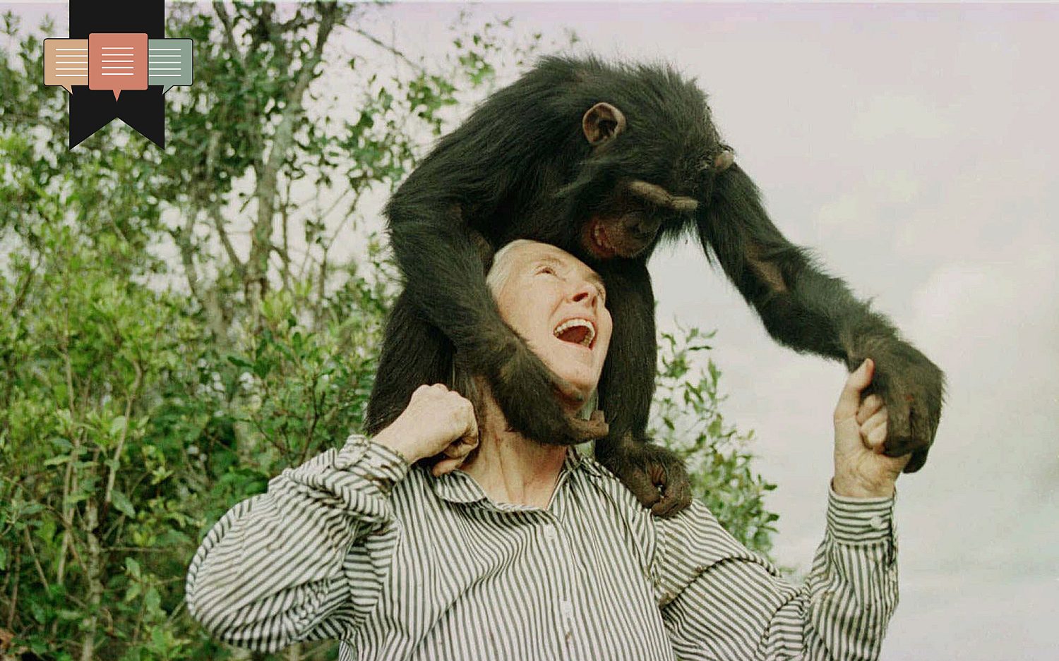 Humans are not mere animals