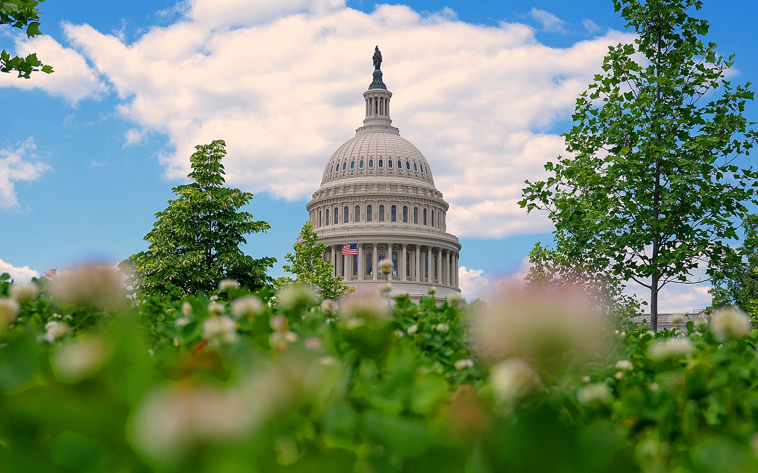 Congress votes to end DHS shutdown amid partisan divide | WORLD