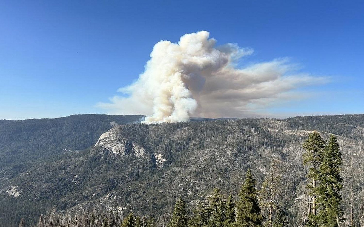 Two pilots killed in plane crash while fighting national park fire