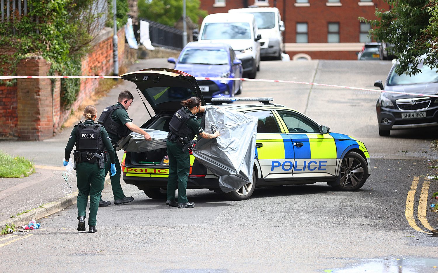 Northern Ireland police arrest immigrant in vicious knifing