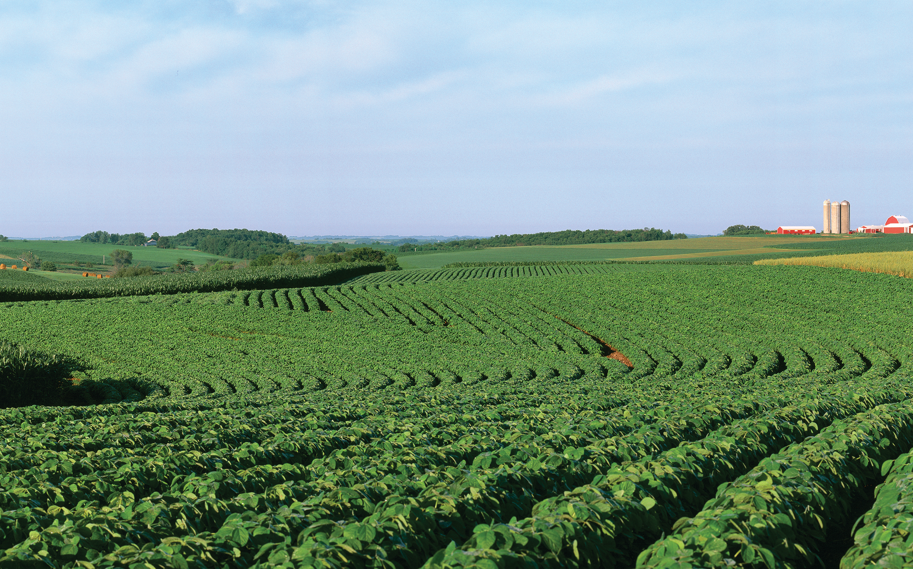 Mixed fields of soybeans, grain corn, maturing oats, and alfalfa in Clayton County, Iowa.